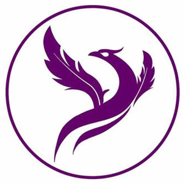 آموزشگاه بیان برتر